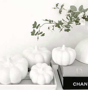 Pumpkins  - all white (pk of 2)